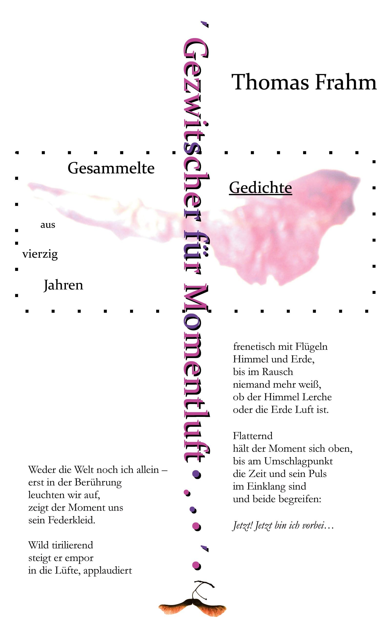 Vorderes Coverbild Gezwitscher für Momentluft