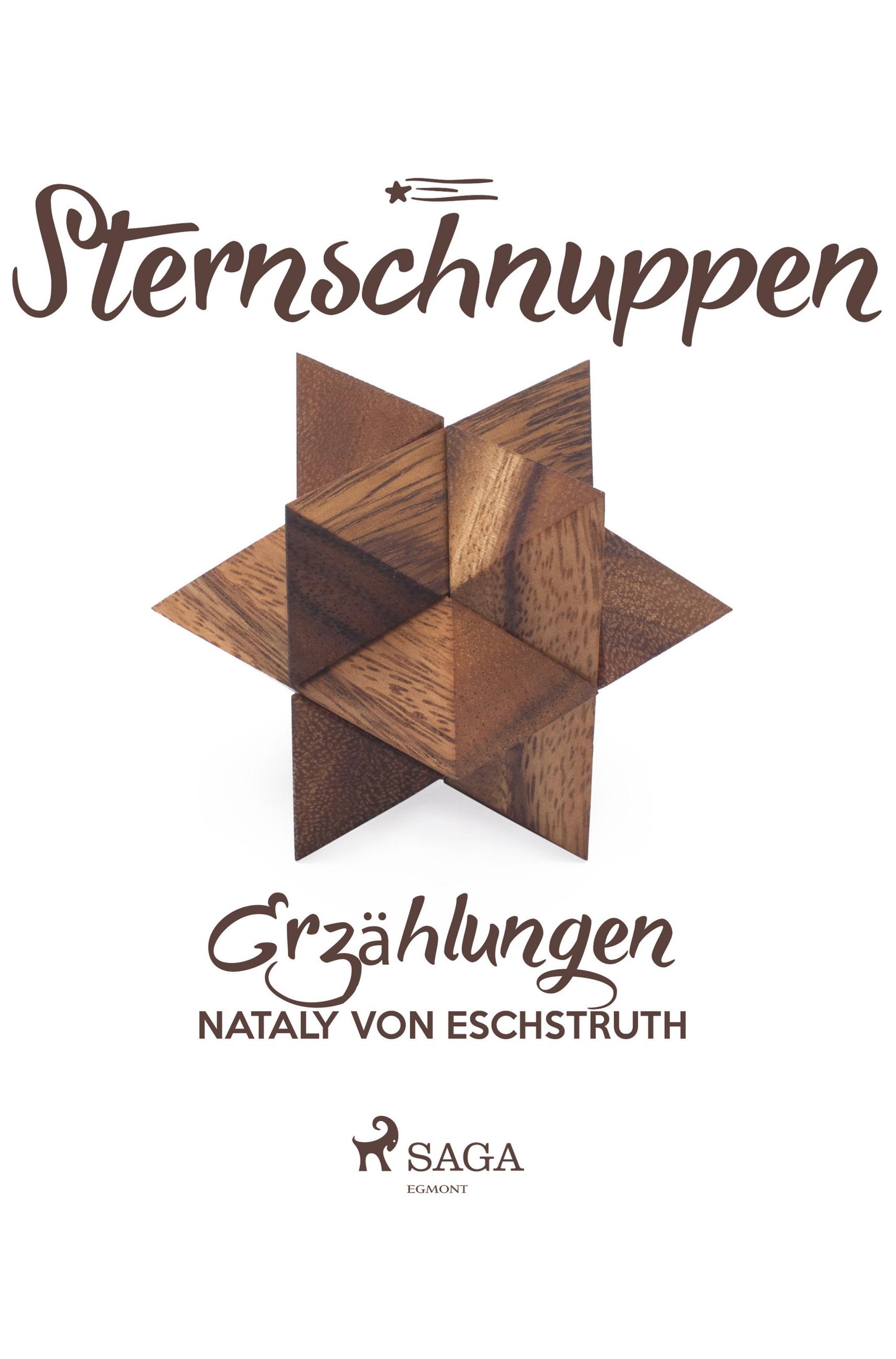Vorderes Coverbild Sternschnuppen