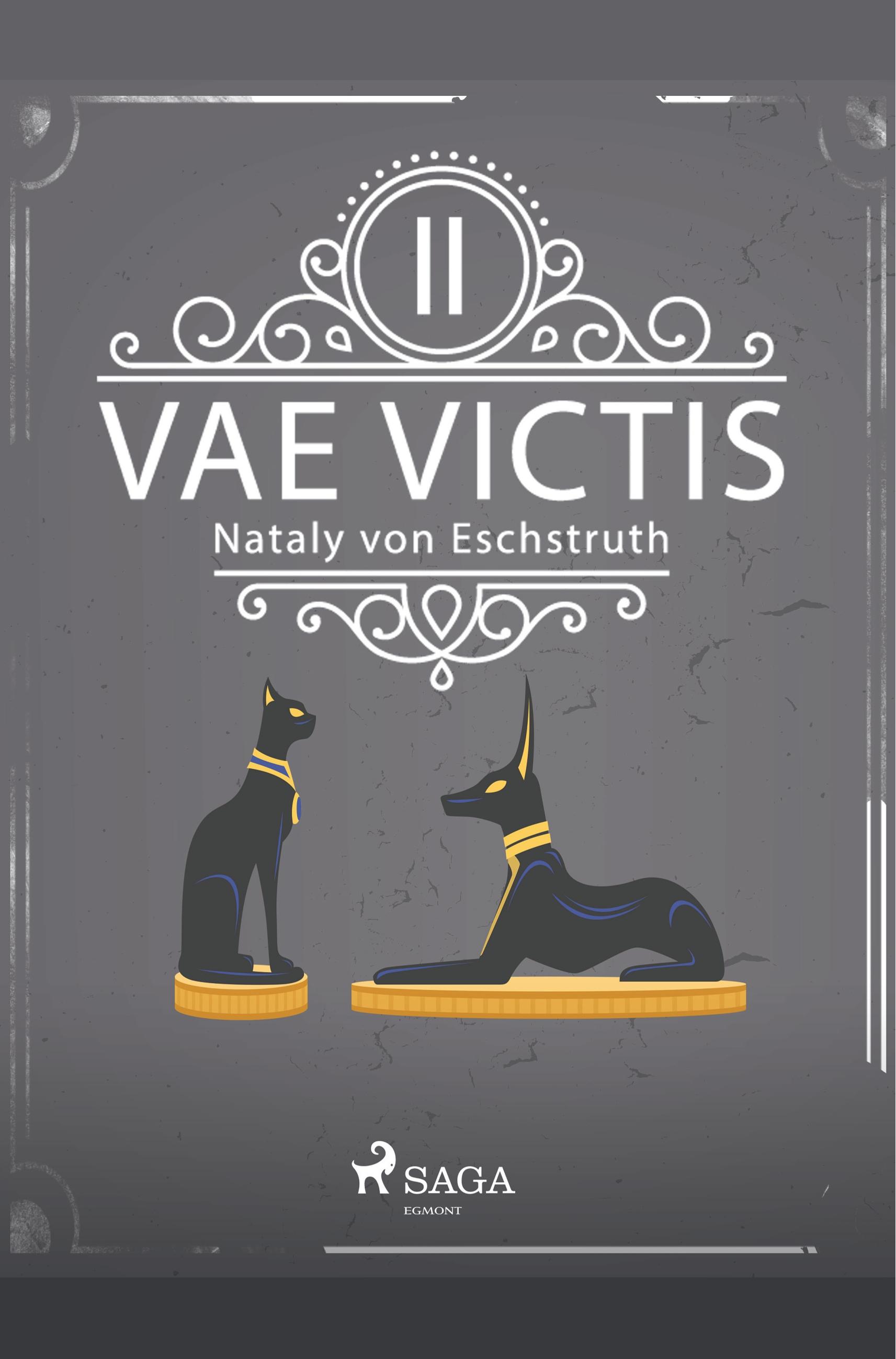 Vorderes Coverbild Vae Victis - Band II
