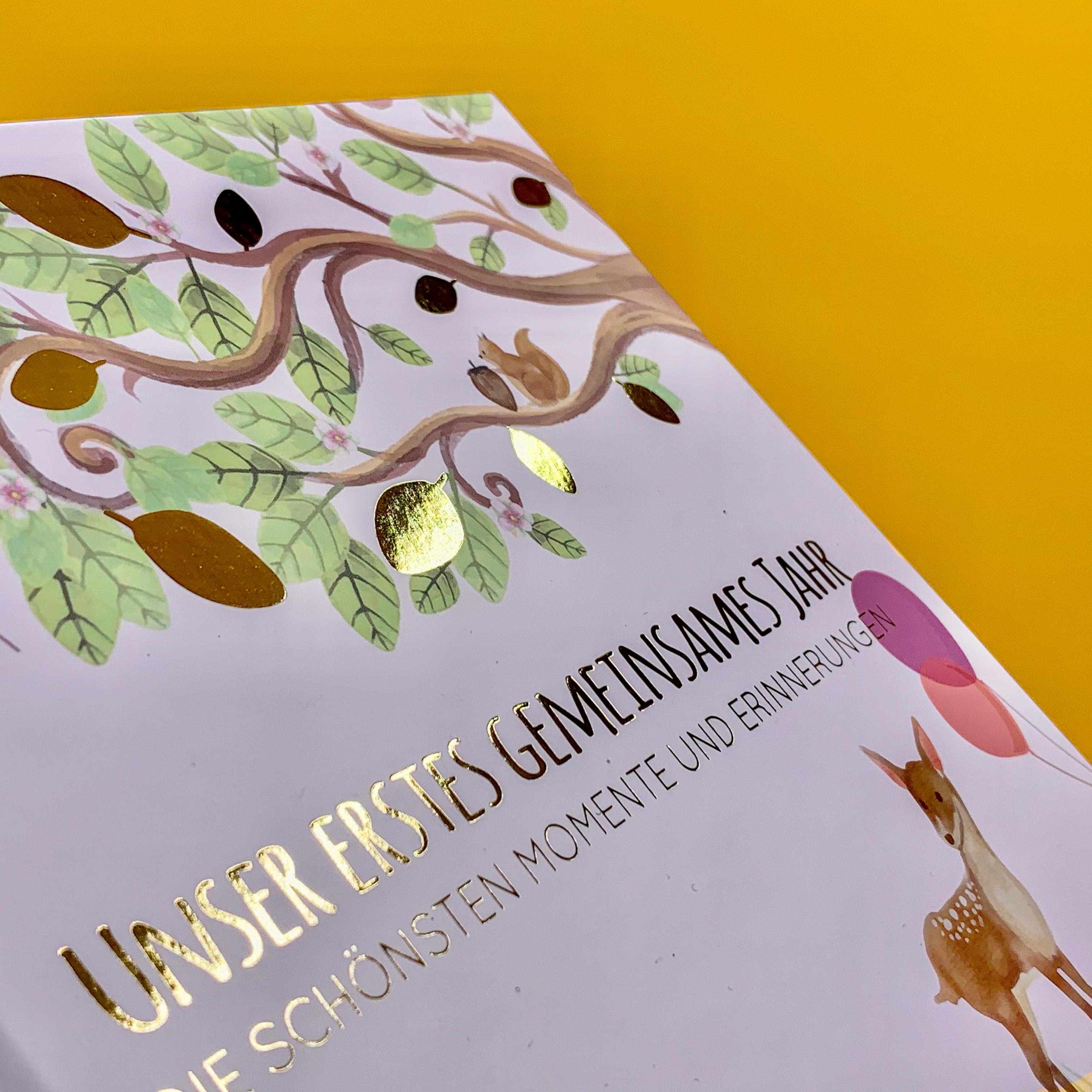 Beispielinhalt (Bild) Babyalbum - UNSER ERSTES GEMEINSAMES JAHR (rosé)