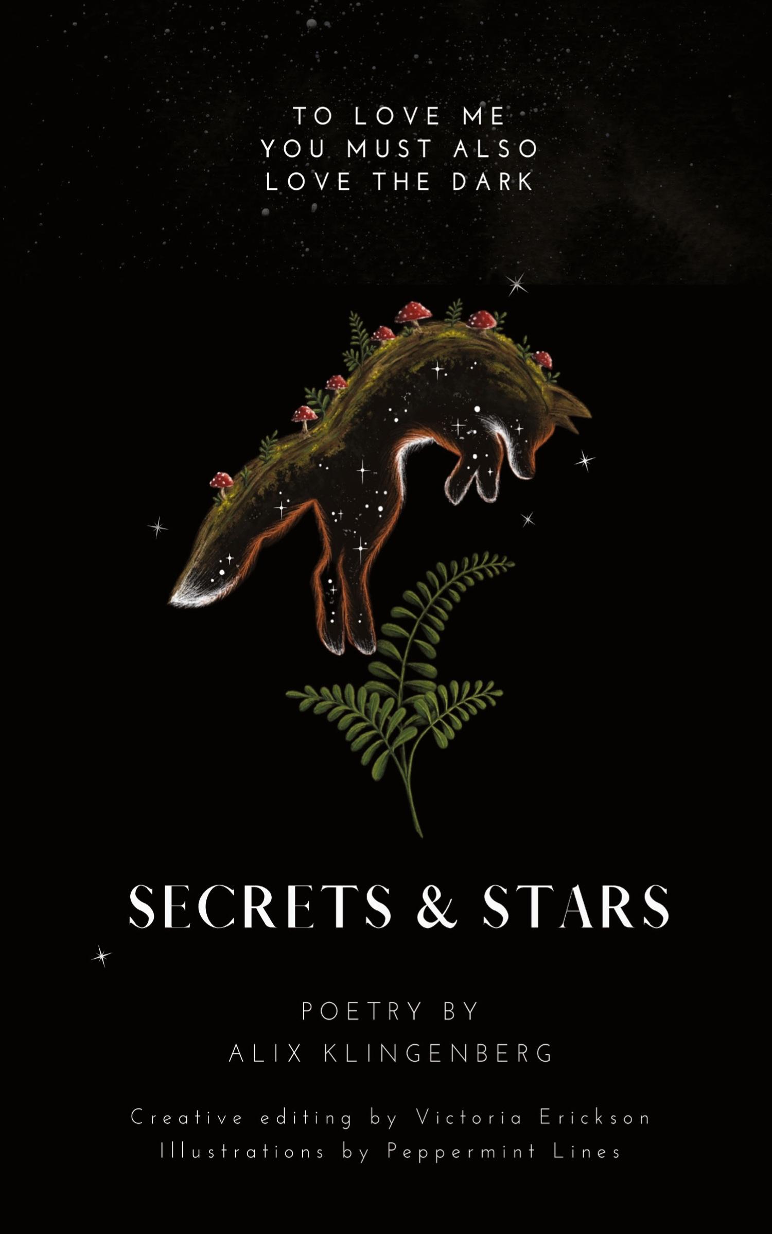 Vorderes Coverbild Secrets and Stars