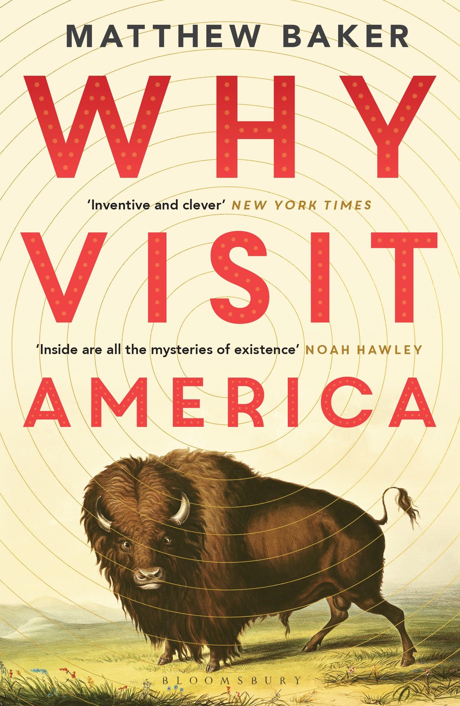 Vorderes Coverbild Why Visit America