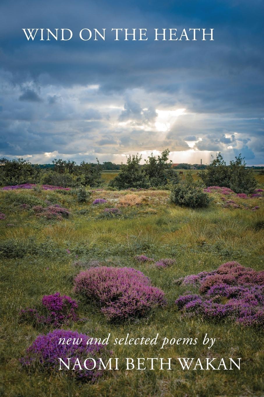 Vorderes Coverbild Wind on the Heath