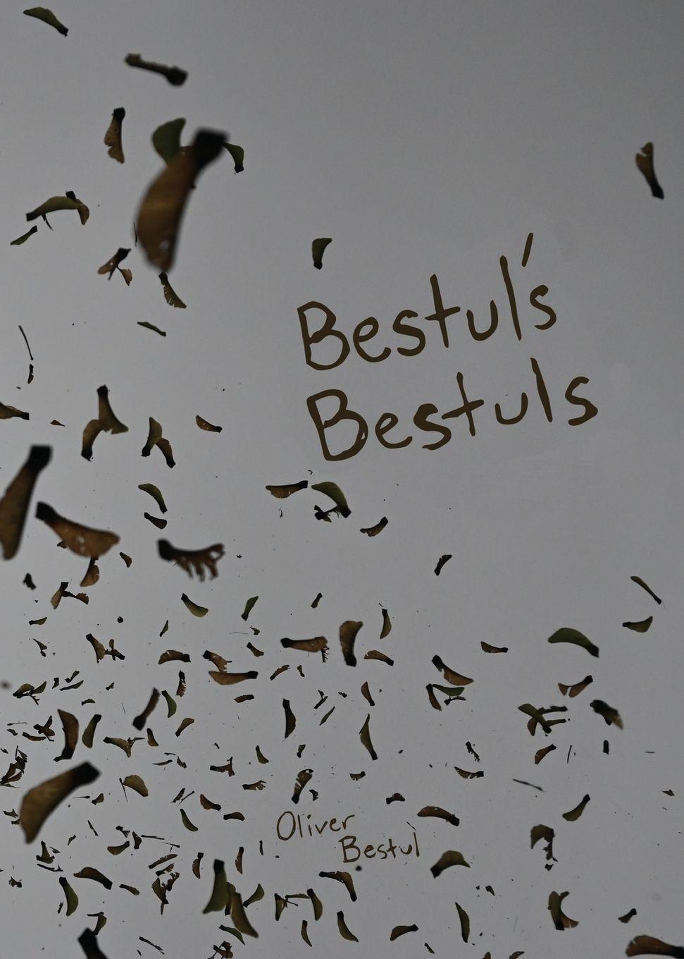 Vorderes Coverbild Bestul's Bestuls