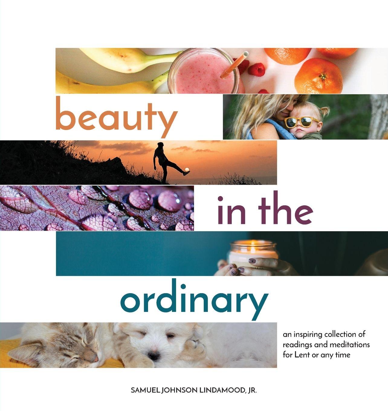 Vorderes Coverbild Beauty in the Ordinary