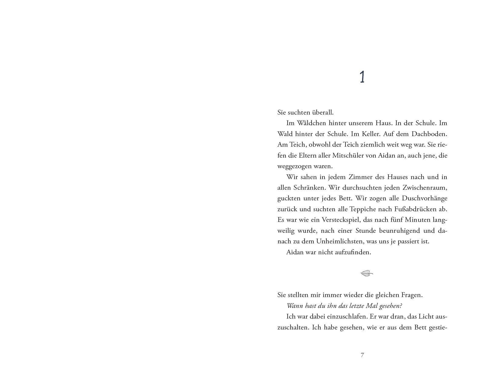 Beispielinhalt (Bild) Das mysteriöse Verschwinden des Aidan S. (so wie es sein Bruder erzählt)