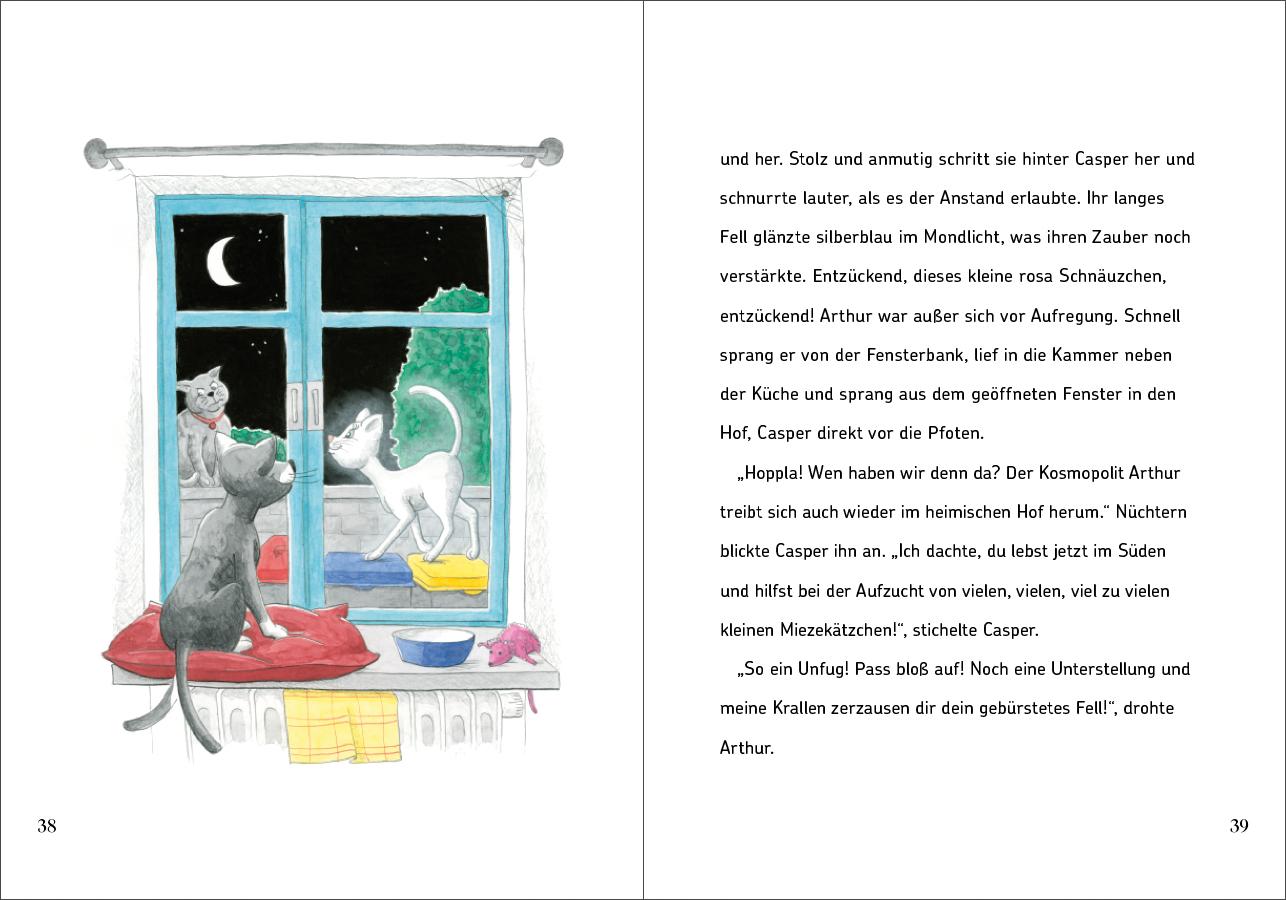 Beispielinhalt (Bild) Katzentheater!