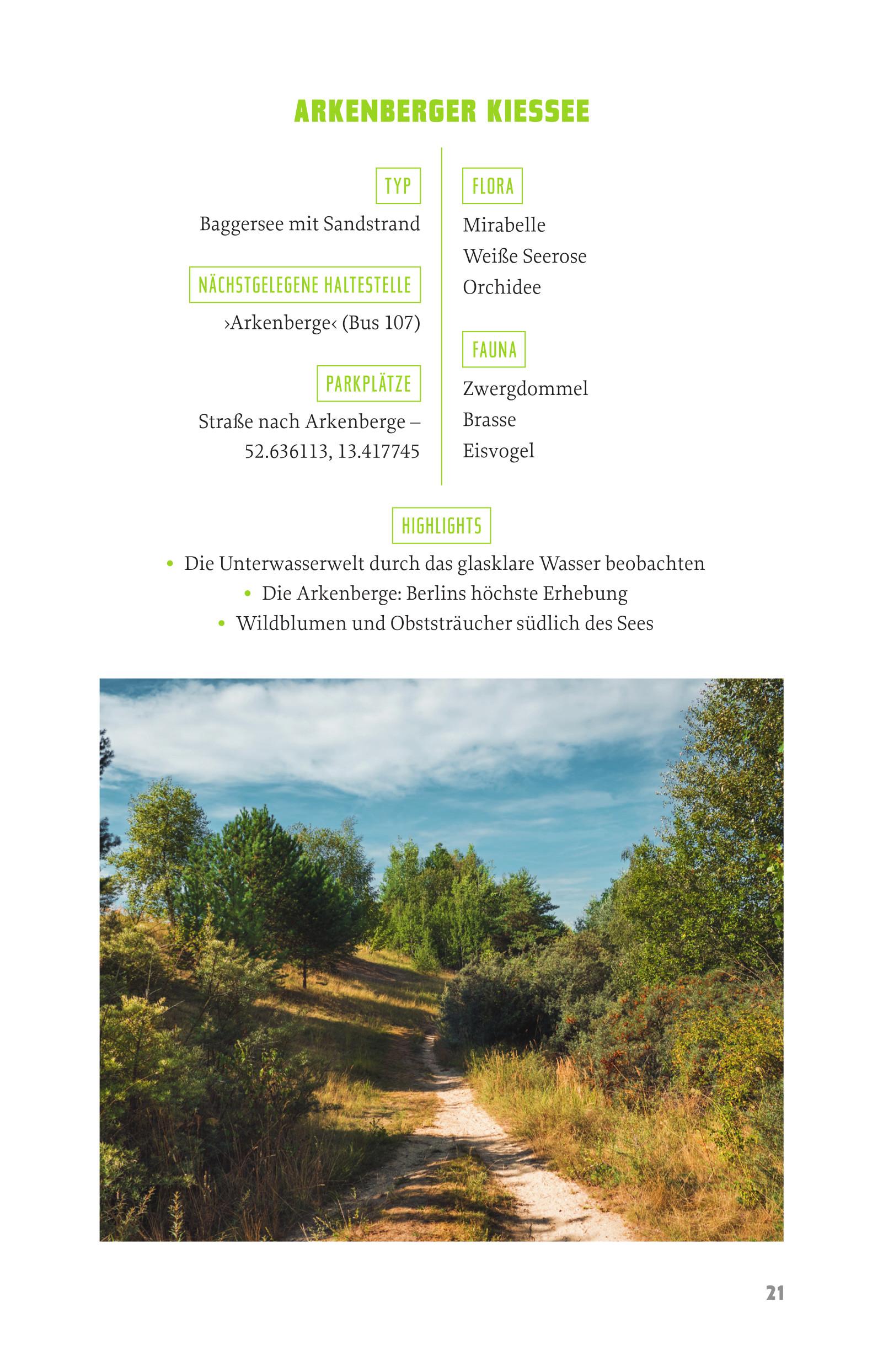 Beispielinhalt (Bild) WILDBERLIN