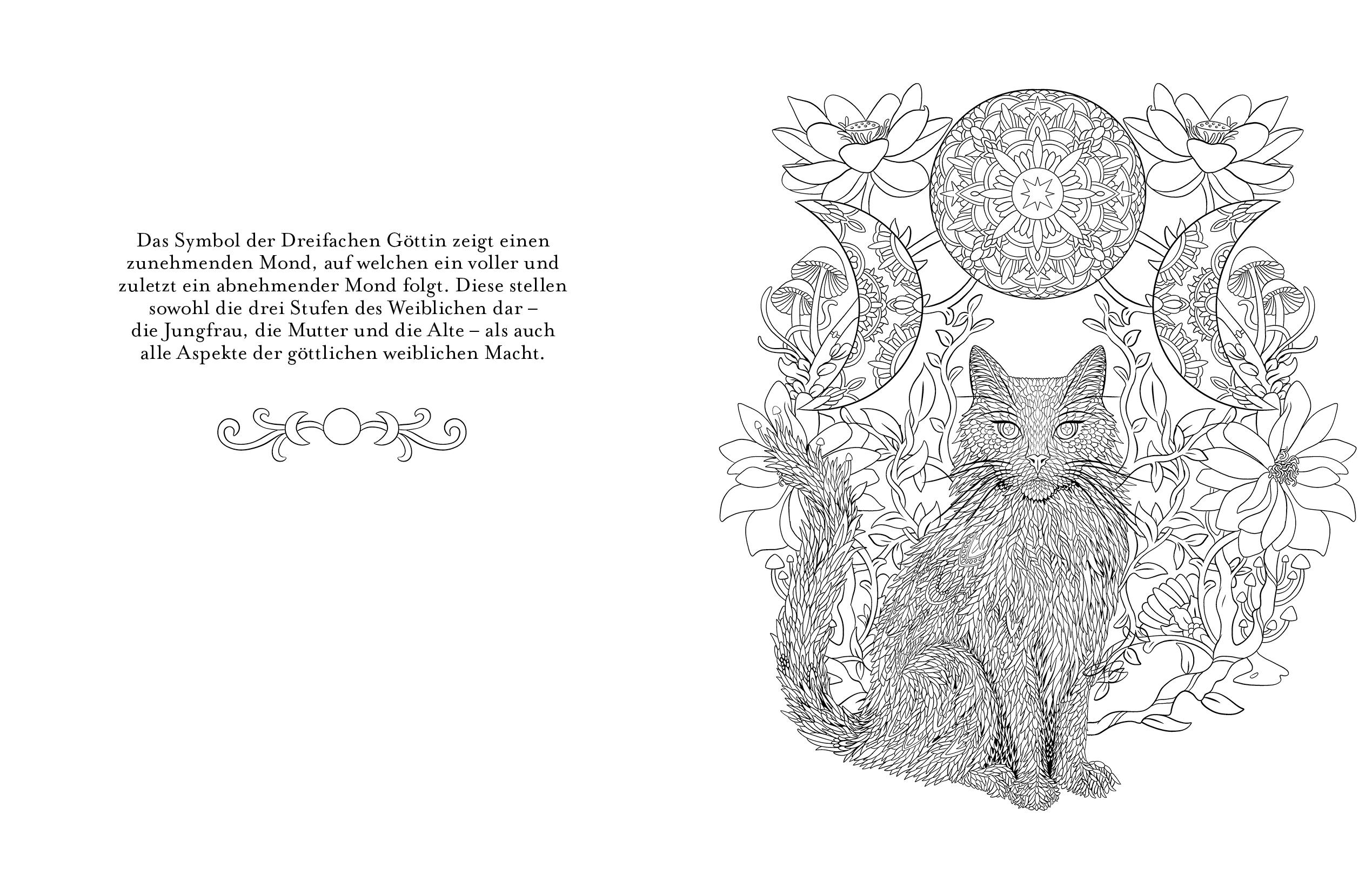 Beispielinhalt (Bild) Magie ist überall