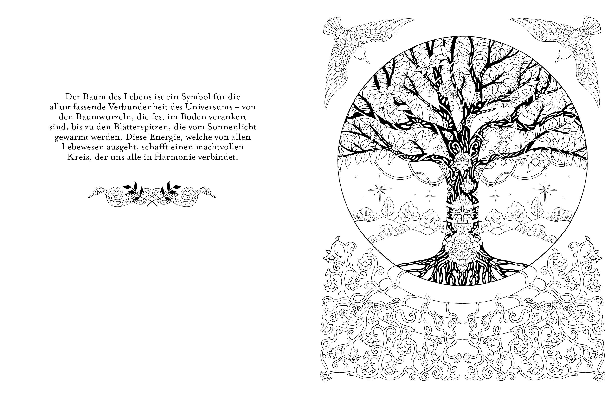 Beispielinhalt (Bild) Magie ist überall