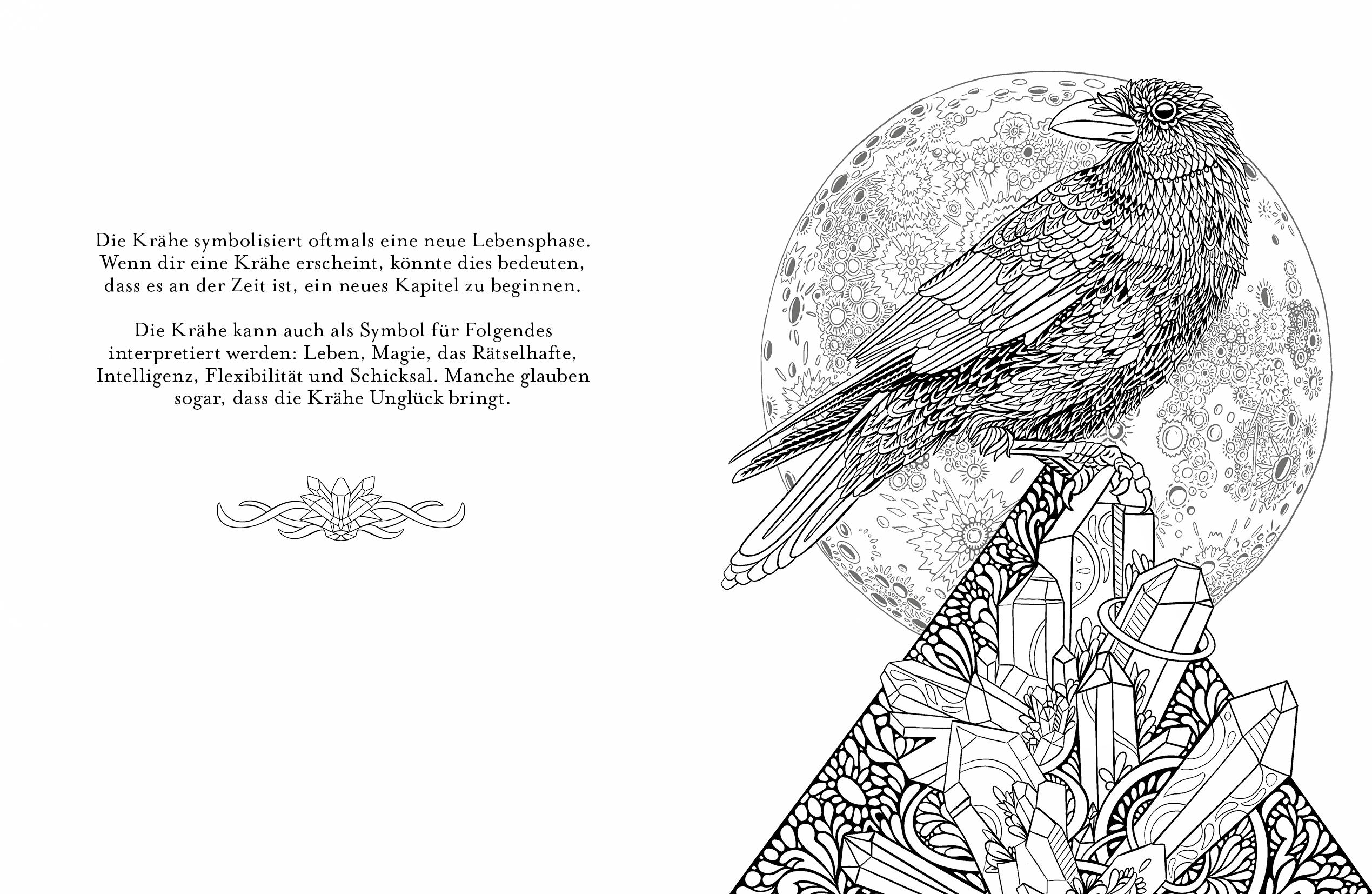 Beispielinhalt (Bild) Magie ist überall