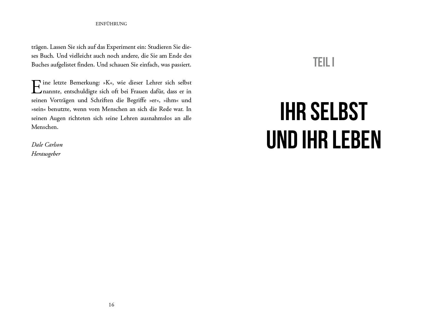 Beispielinhalt (Bild) Was machst du aus deinem Leben?