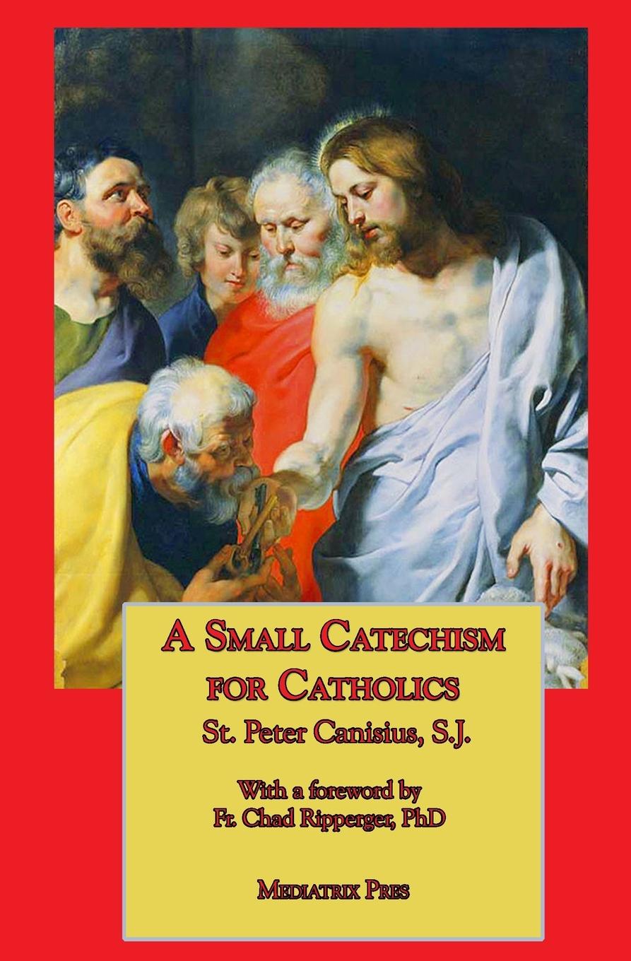 Vorderes Coverbild A Small Catechism for Catholics
