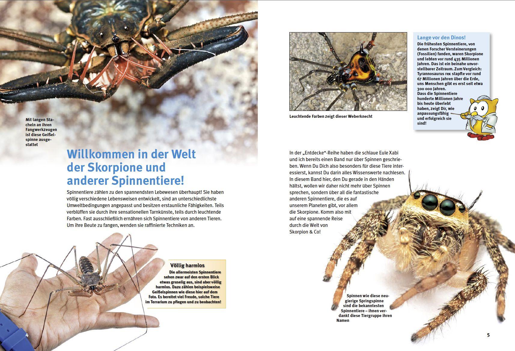 Beispielinhalt (Bild) Entdecke die Skorpione