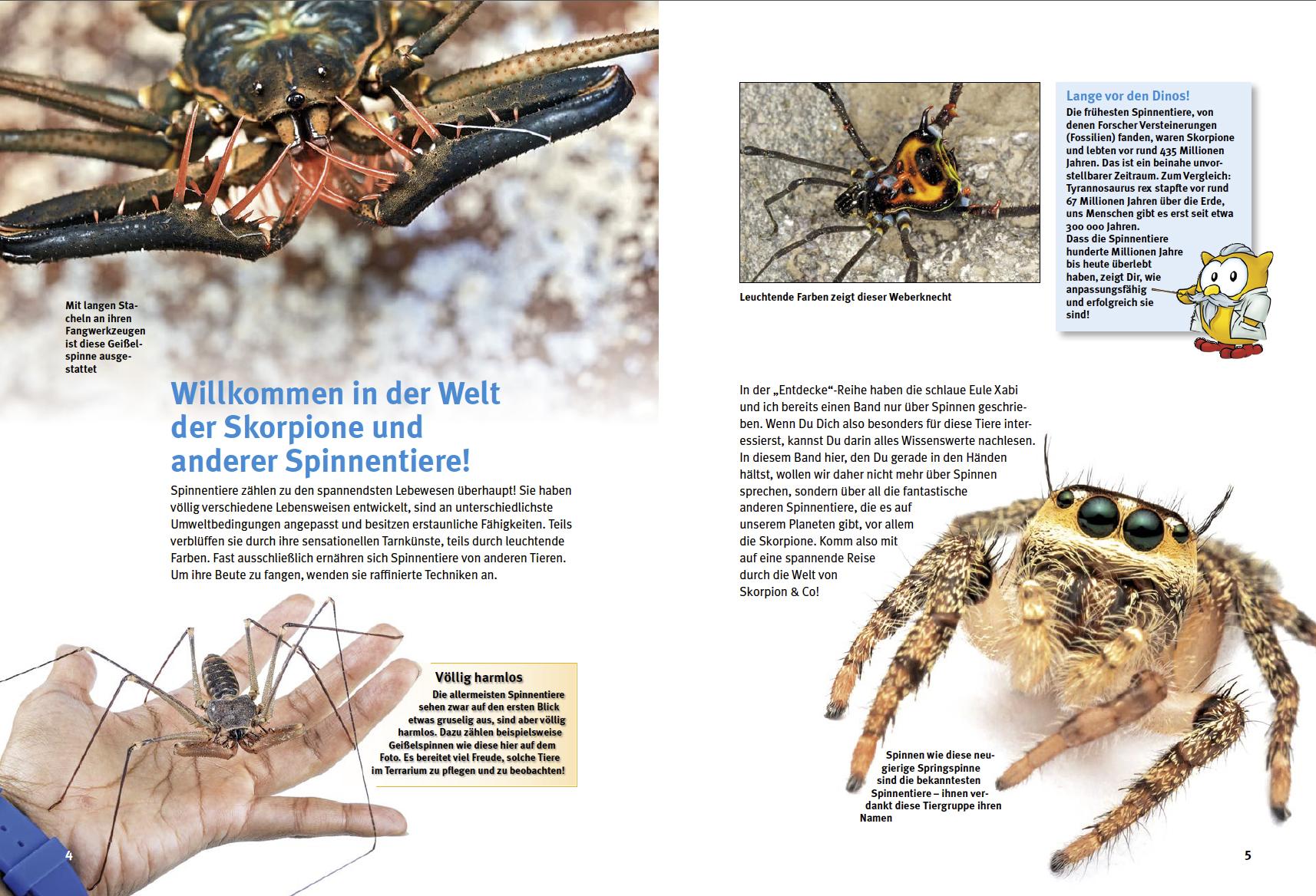Beispielinhalt (Bild) Entdecke die Skorpione