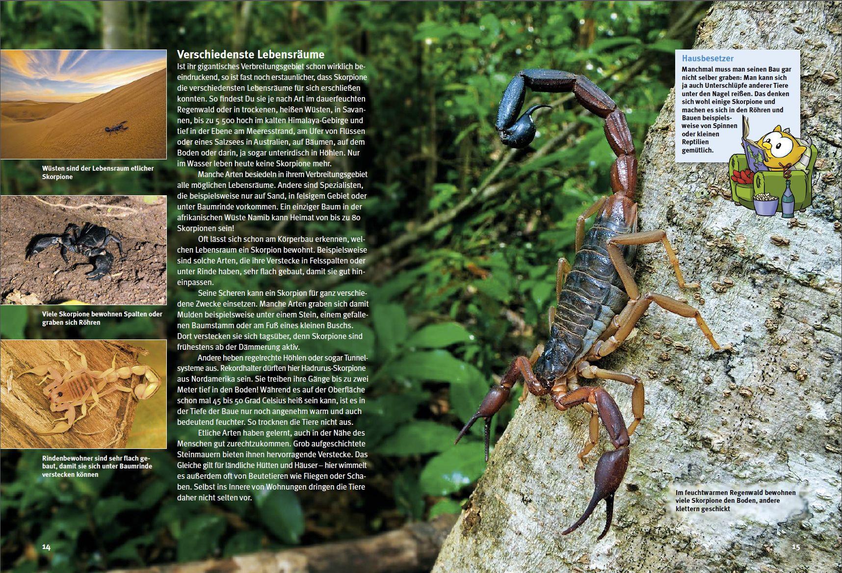 Beispielinhalt (Bild) Entdecke die Skorpione