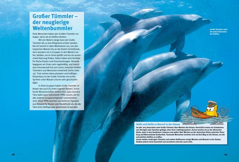 Beispielinhalt (Bild) Entdecke die Delfine