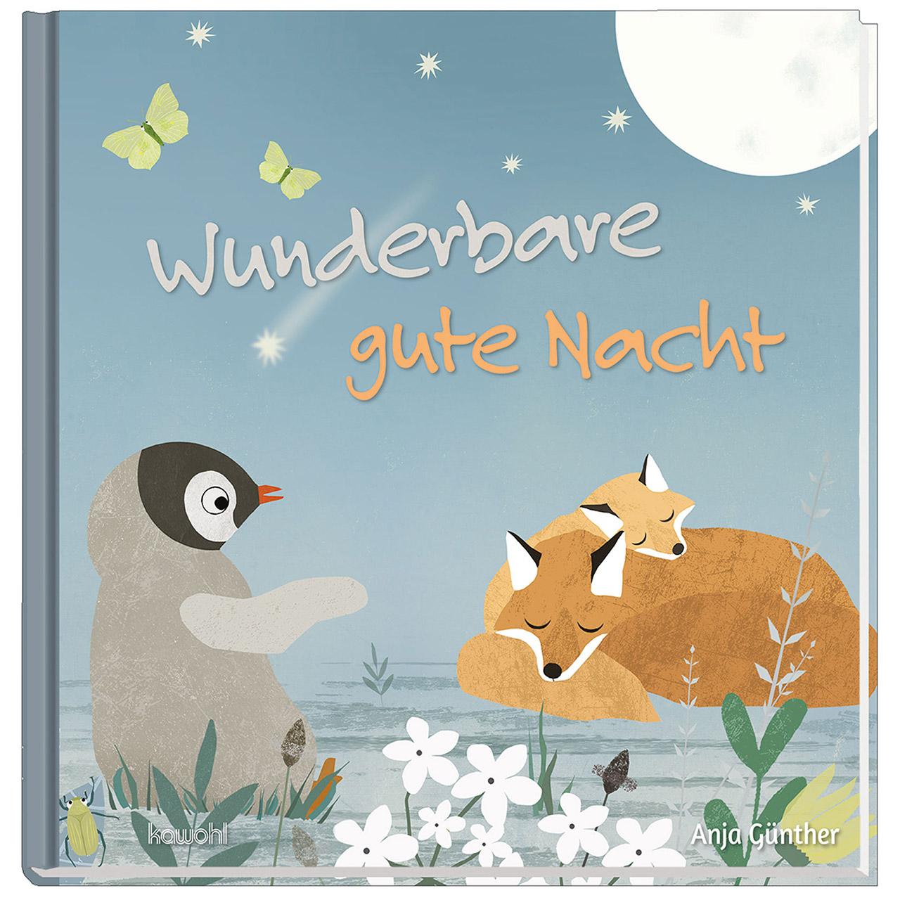 Vorderes Coverbild Wunderbare gute Nacht