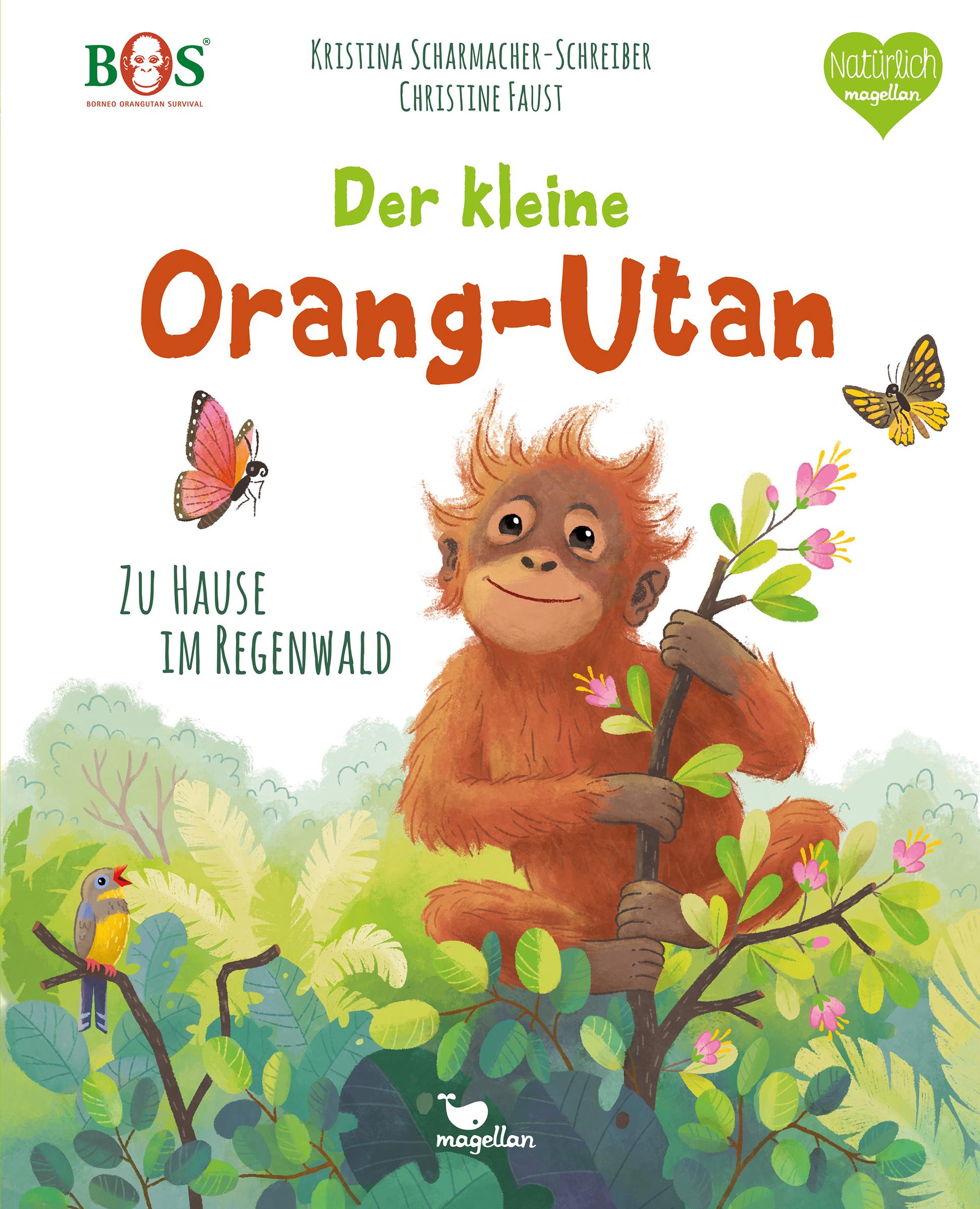 Vorderes Coverbild Der kleine Orang-Utan - Zu Hause im Regenwald