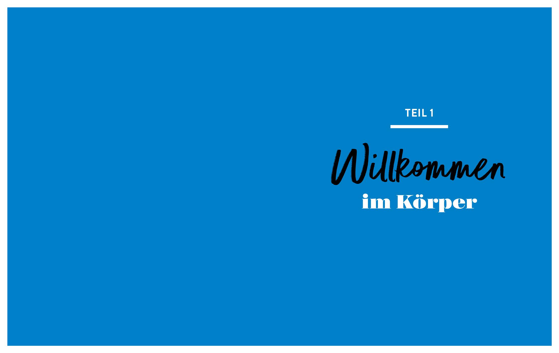 Beispielinhalt (Bild) Body Alignment
