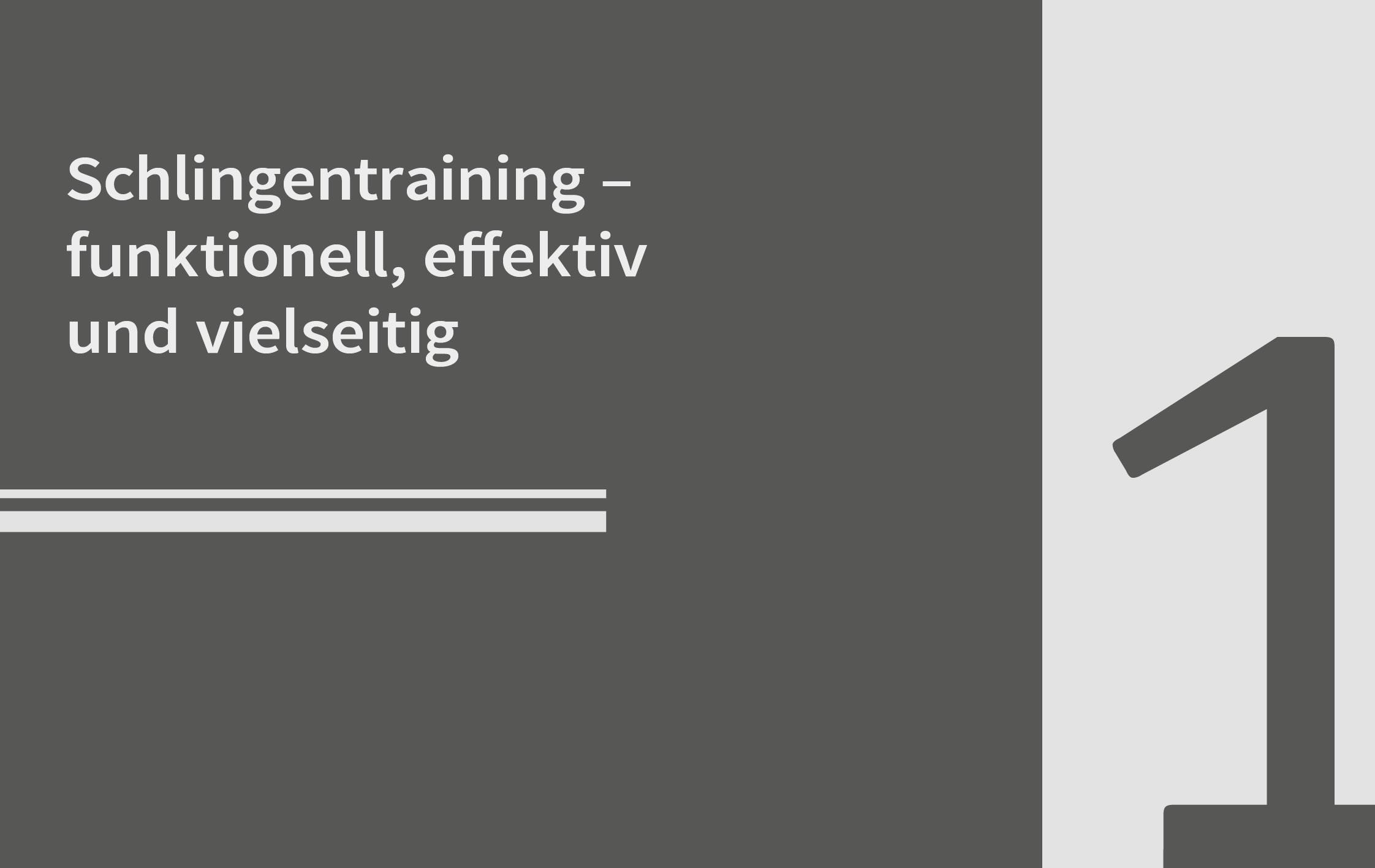 Beispielinhalt (Bild) 50 Workouts - Schlingentraining