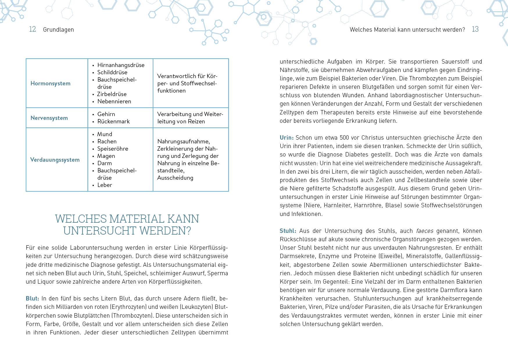 Beispielinhalt (Bild) Laborwerte einfach erklärt
