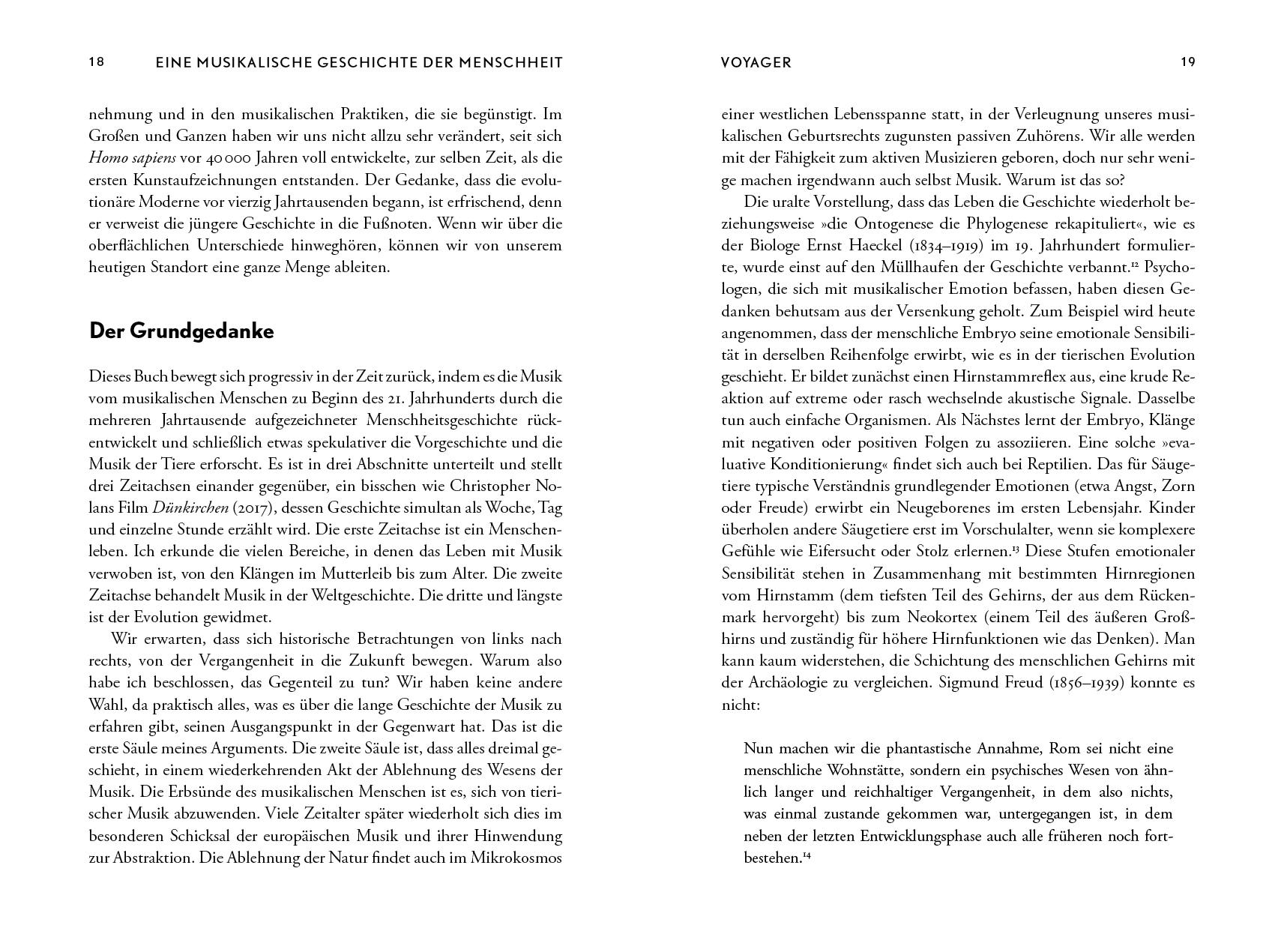 Beispielinhalt (Bild) Eine musikalische Geschichte der Menschheit