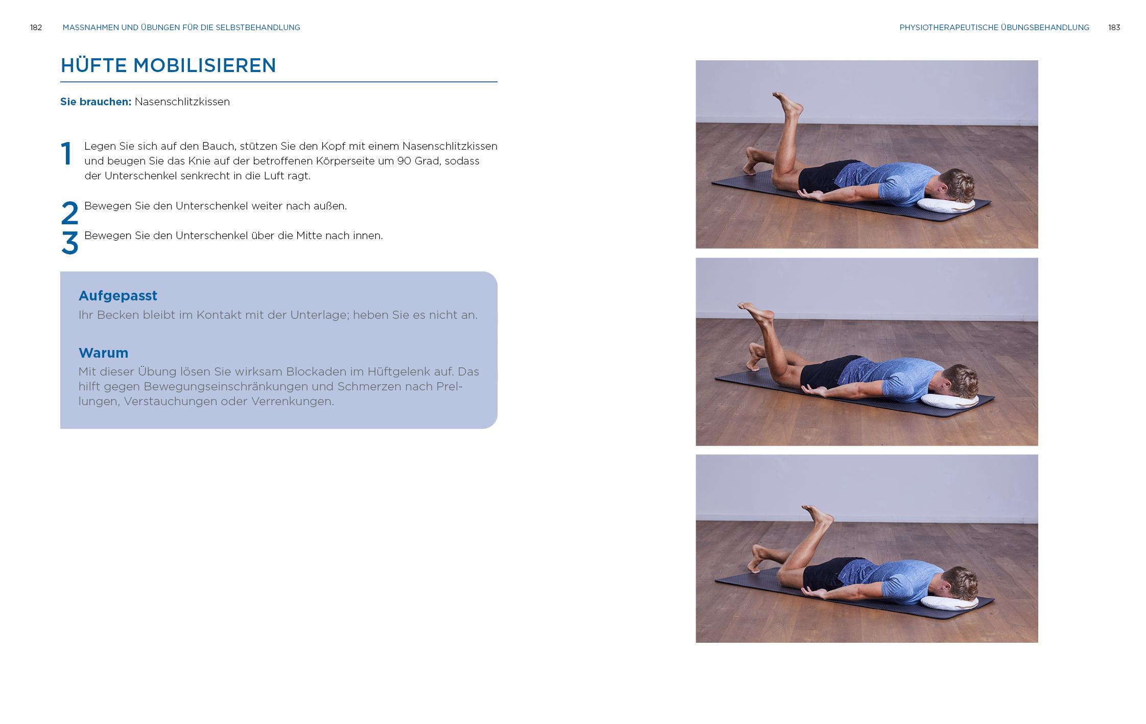 Beispielinhalt (Bild) Physiotherapie-Hausapotheke
