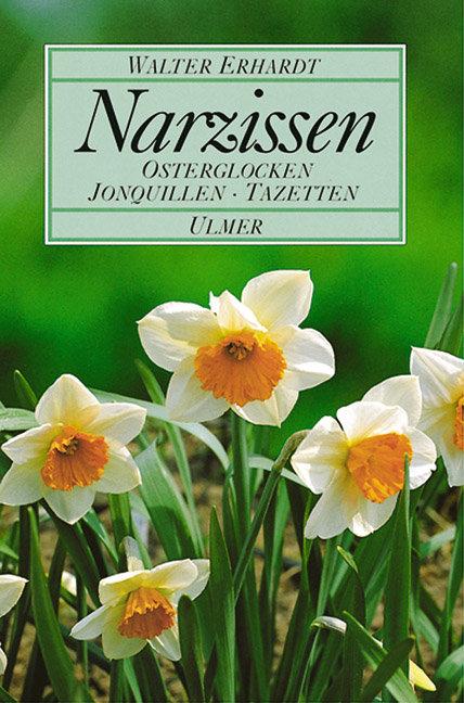 Vorderes Coverbild Narzissen