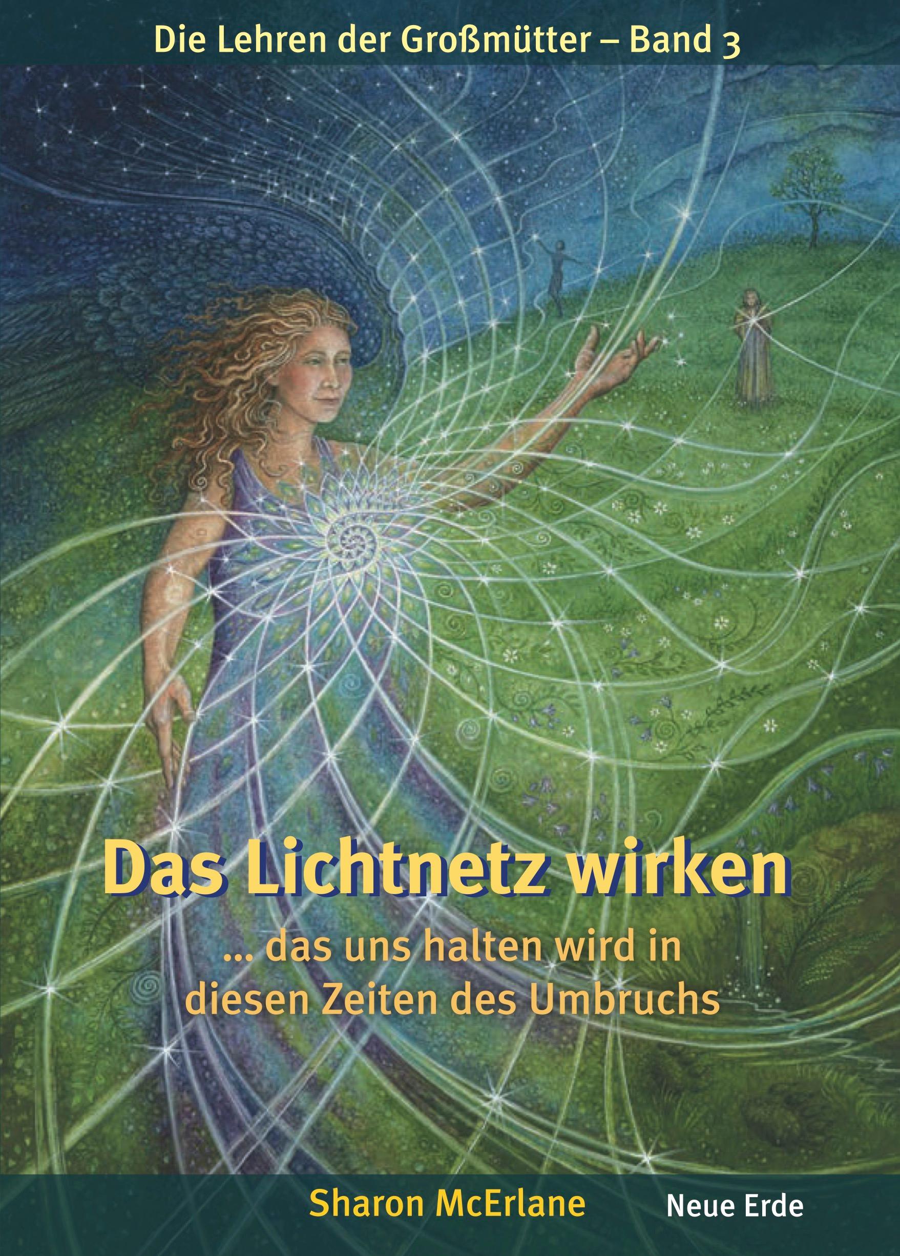 Vorderes Coverbild Das Lichtnetz wirken