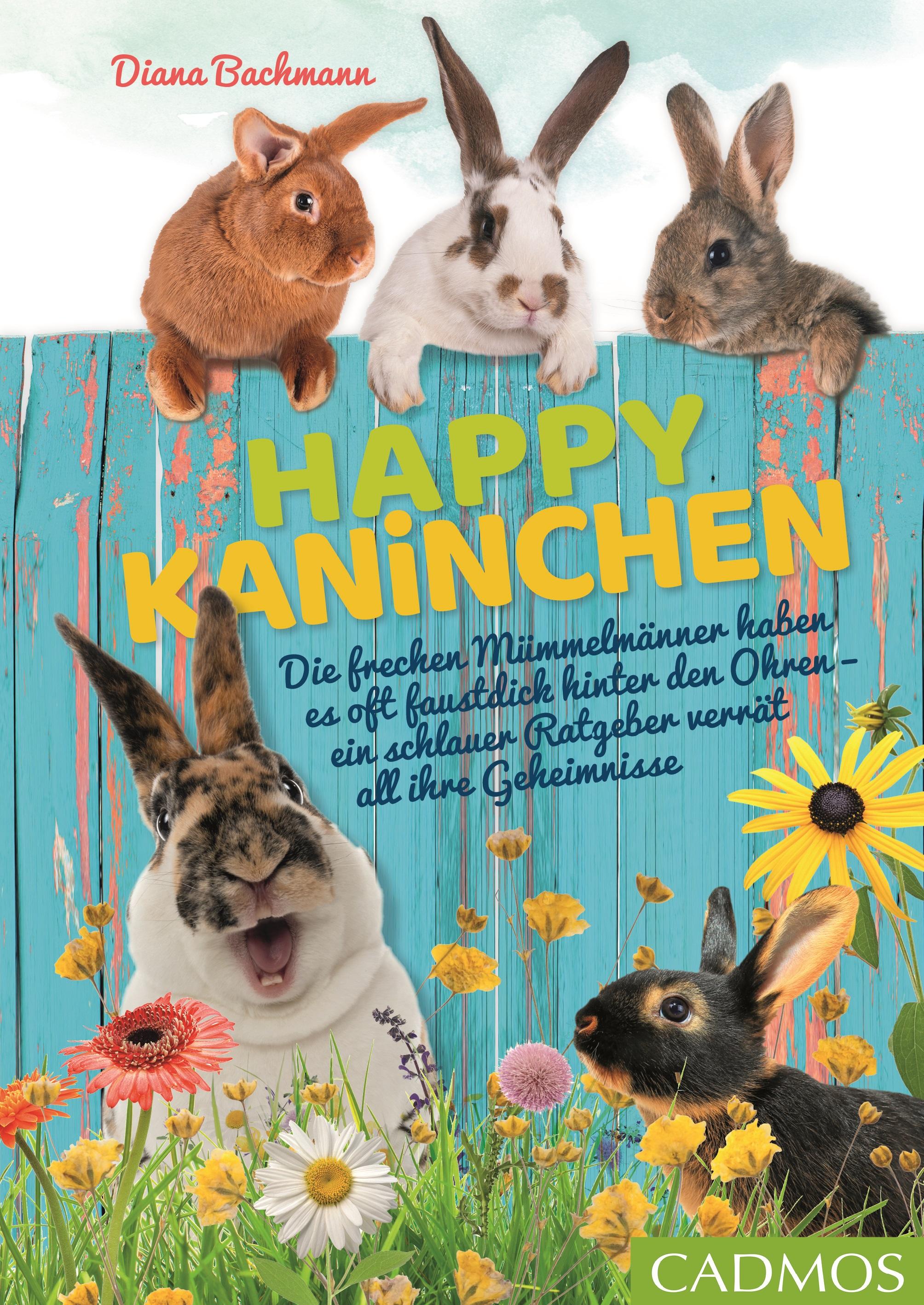 Vorderes Coverbild Happy Kaninchen