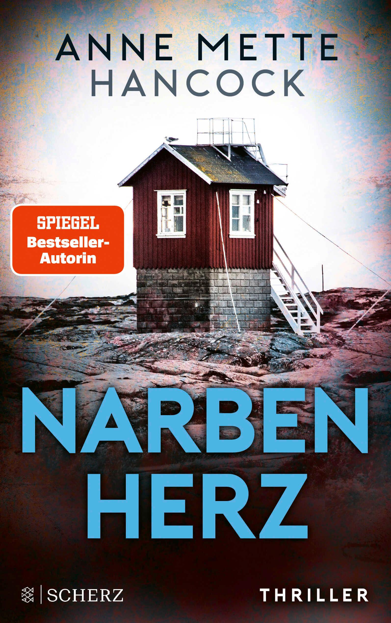 Vorderes Coverbild Narbenherz
