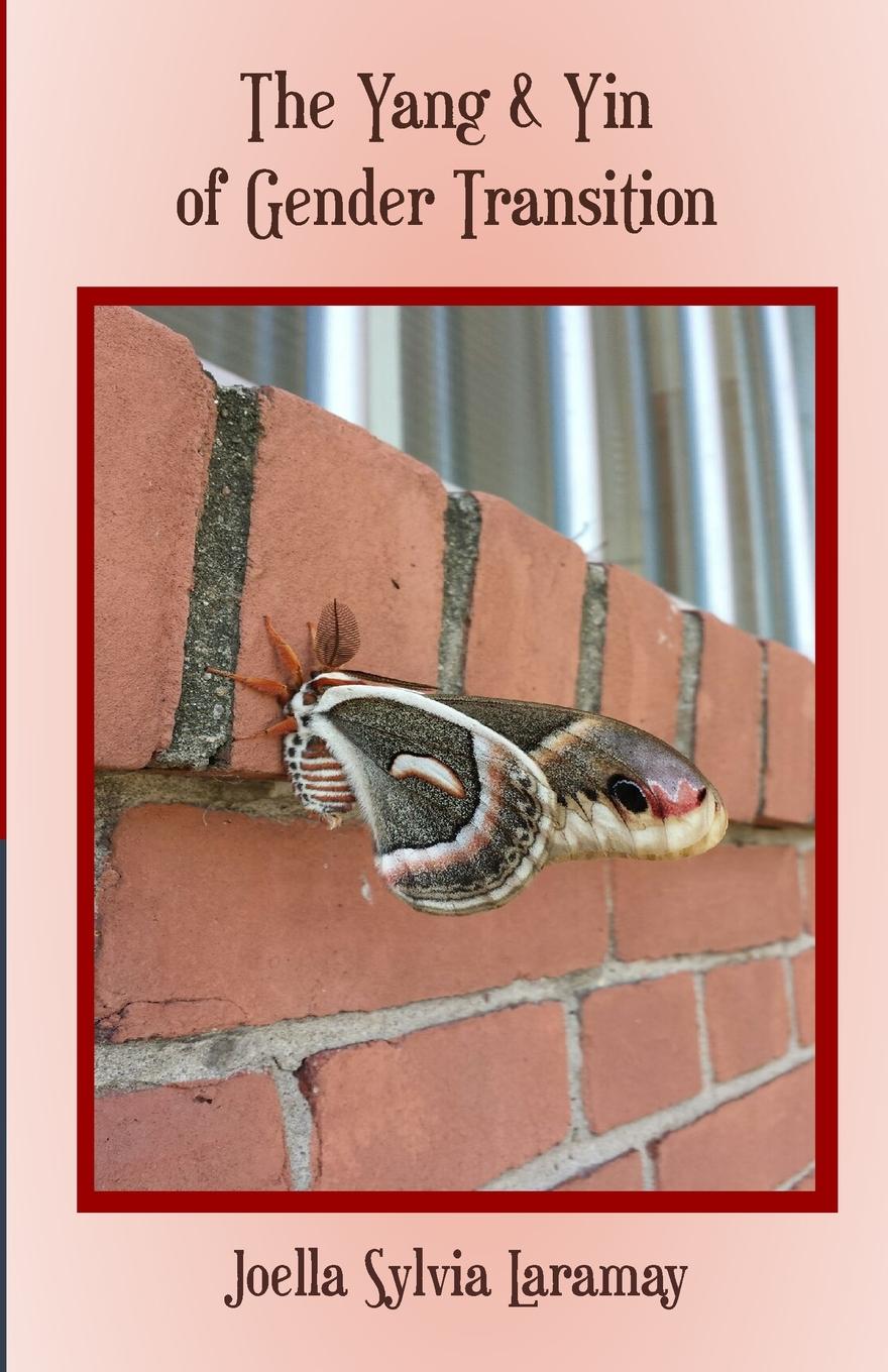 Vorderes Coverbild The Yang & Yin of Gender Transition