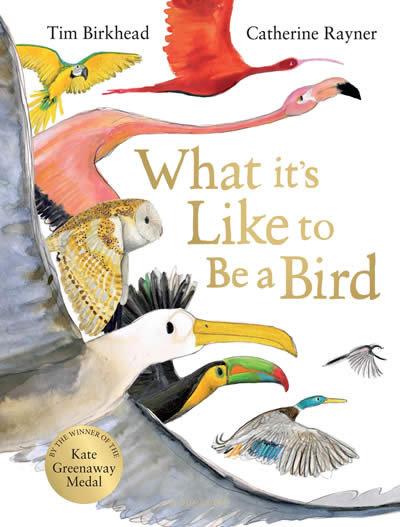 Vorderes Coverbild What it's Like to be a Bird