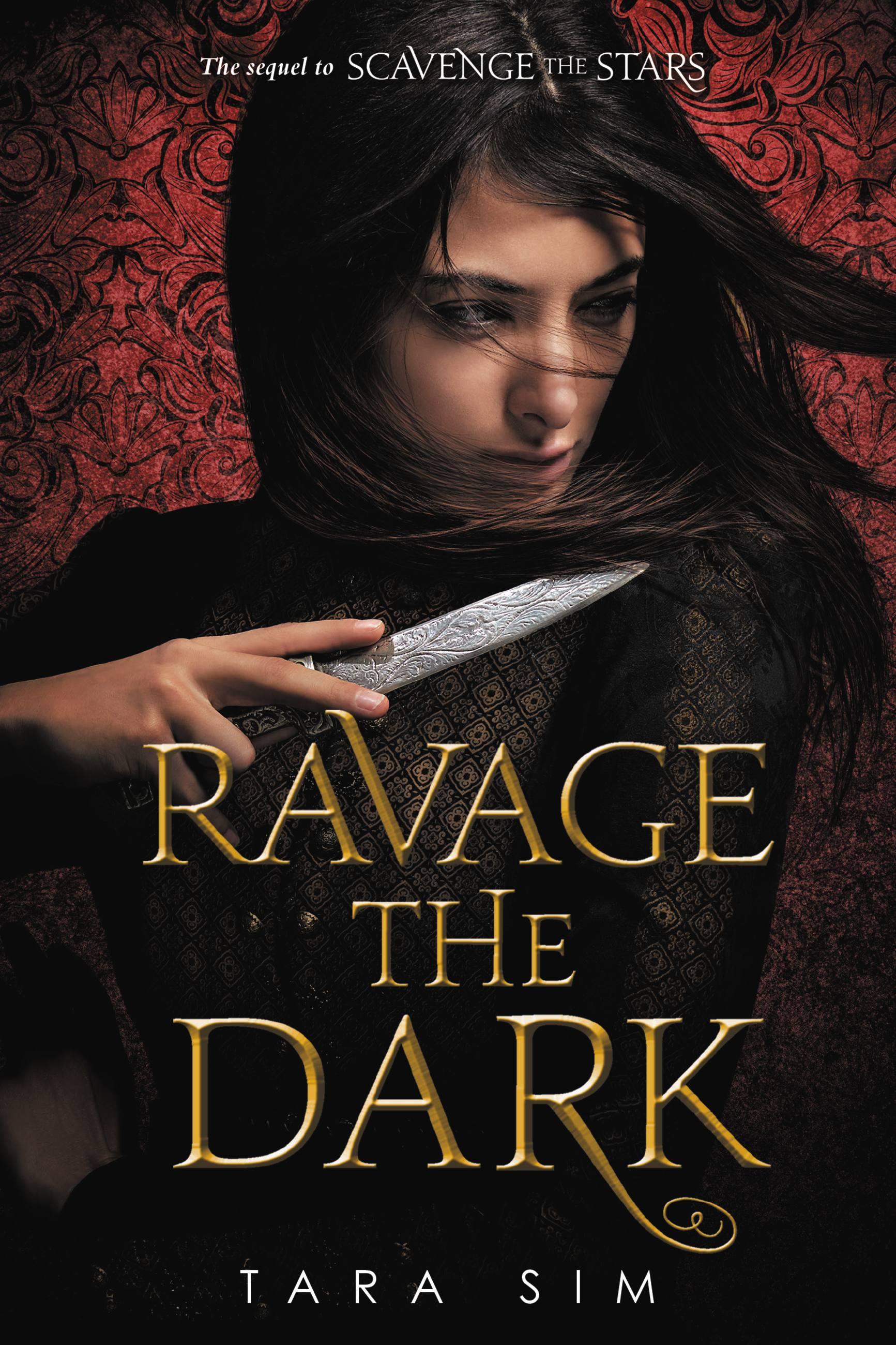 Vorderes Coverbild Ravage the Dark