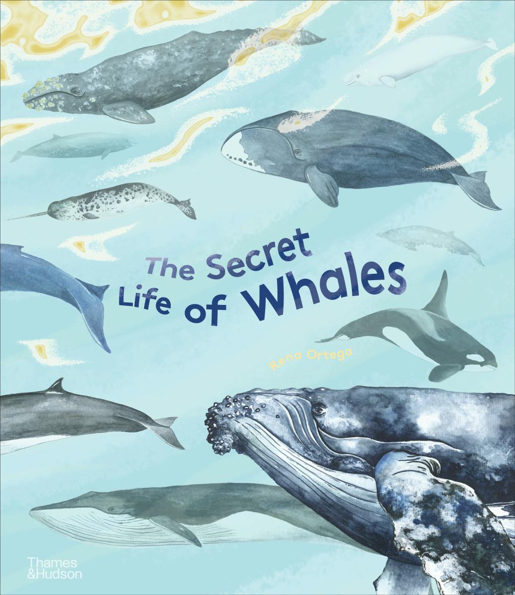 Vorderes Coverbild The Secret Life of Whales