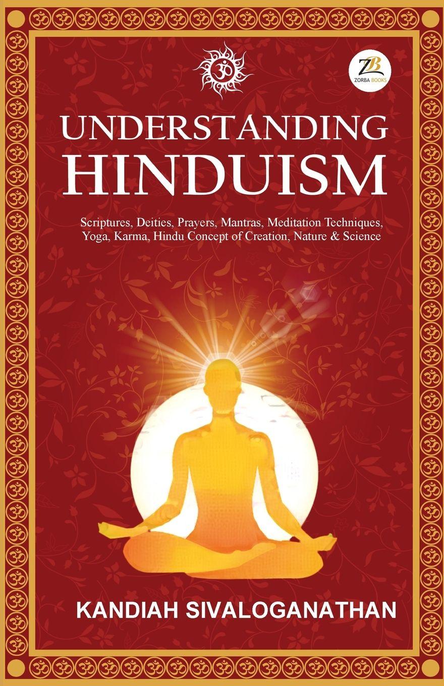 Vorderes Coverbild Understanding Hinduism