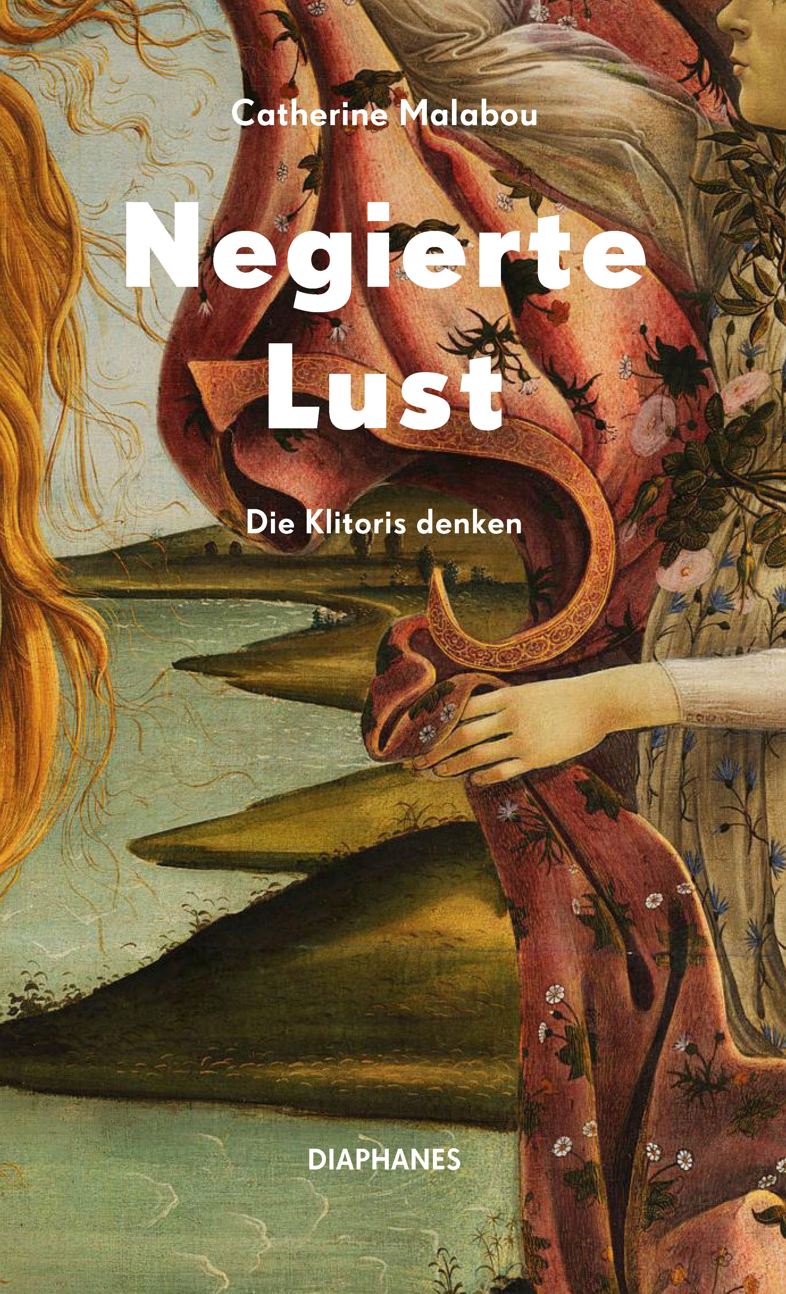 Vorderes Coverbild Negierte Lust