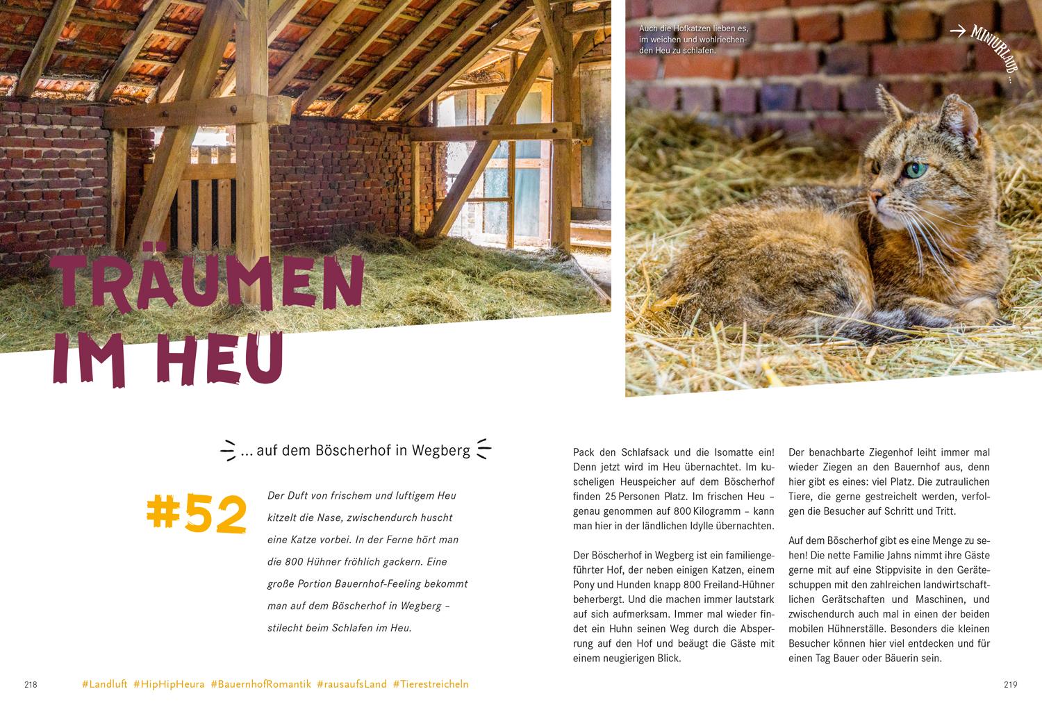 Beispielinhalt (Bild) 52 kleine & große Eskapaden in und um Düsseldorf