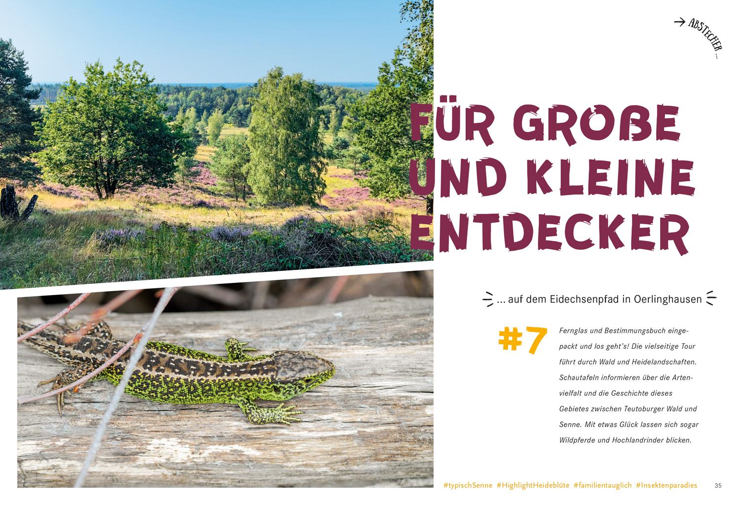 Beispielinhalt (Bild) 52 kleine & große Eskapaden in Ostwestfalen-Lippe