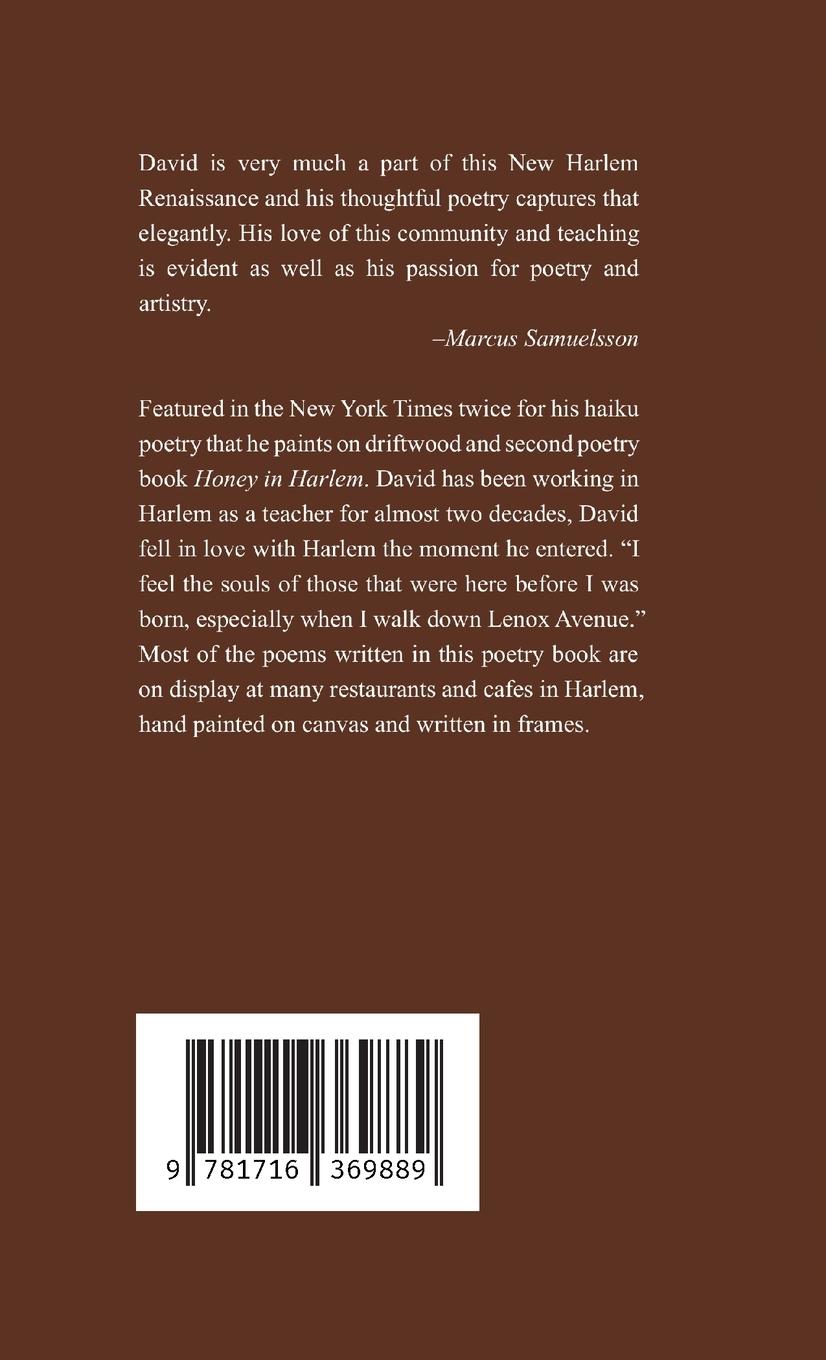 Rückseitencover If Lenox Avenue Could Talk