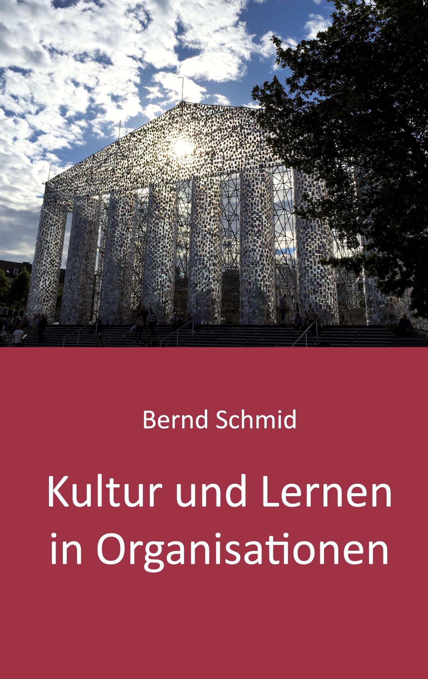 Vorderes Coverbild Kultur und Lernen in Organisationen