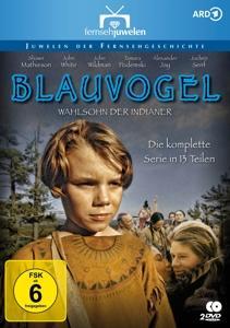 Vorderes Coverbild Blauvogel