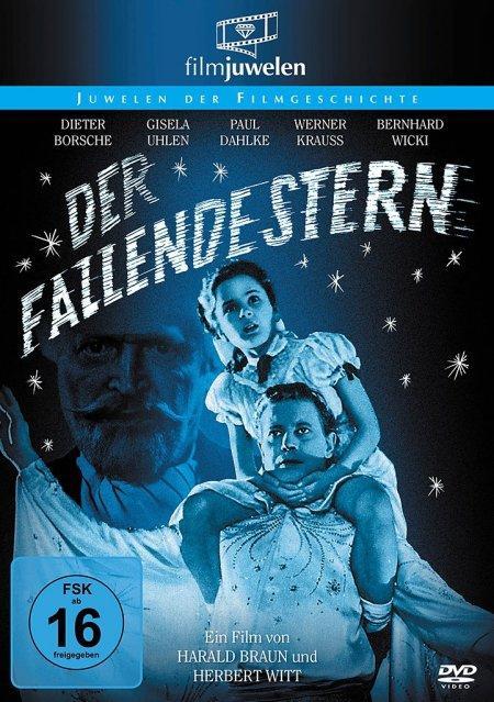 Vorderes Coverbild Der fallende Stern