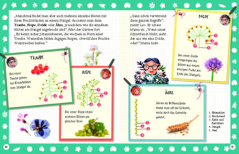 Beispielinhalt (Bild) Flora & Leo. Mein erstes Herbarium