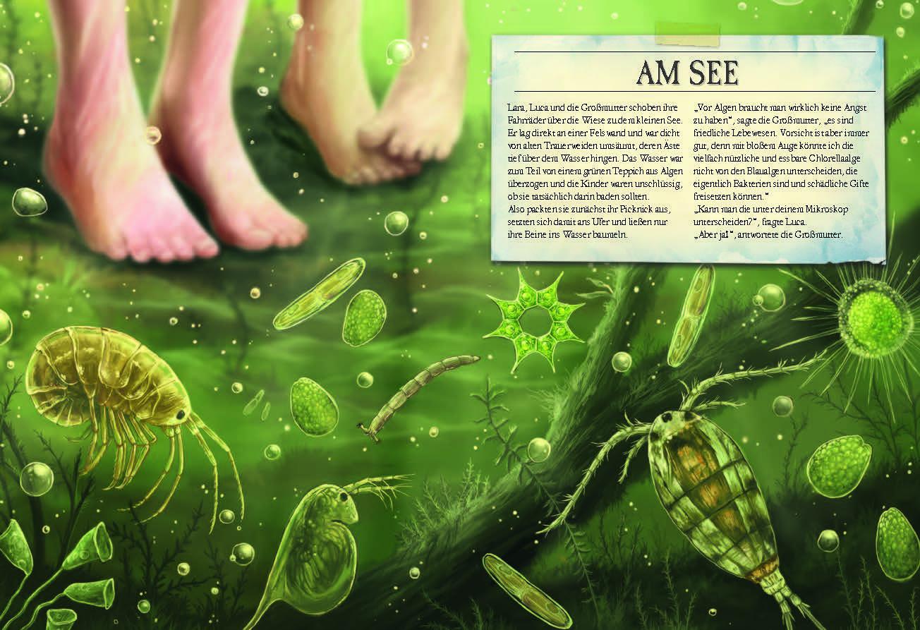 Beispielinhalt (Bild) Verborgene Welt des Mikrokosmos