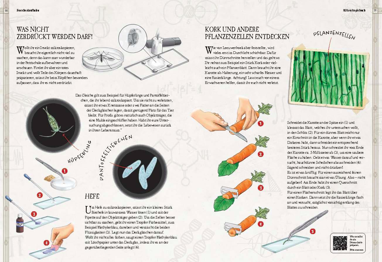 Beispielinhalt (Bild) Verborgene Welt des Mikrokosmos