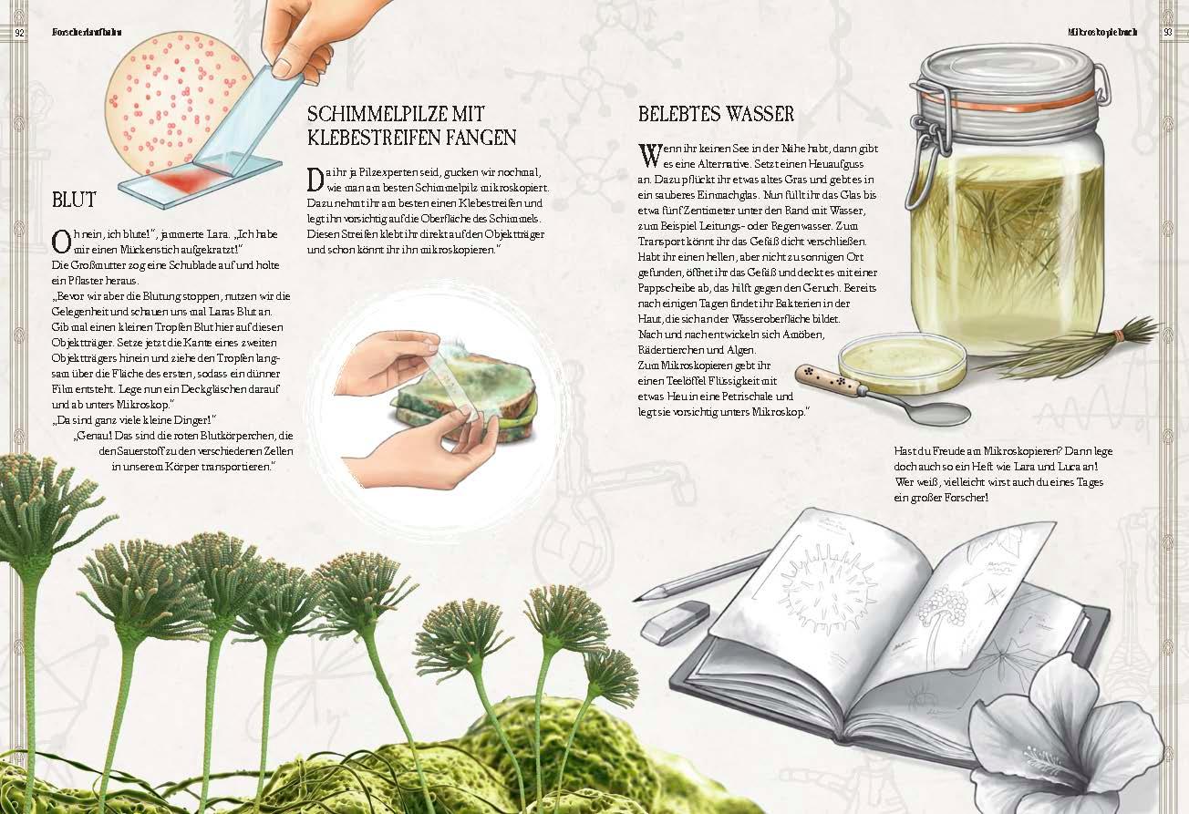 Beispielinhalt (Bild) Verborgene Welt des Mikrokosmos