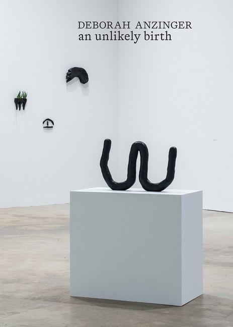 Vorderes Coverbild Deborah Anzinger: An Unlikely Birth