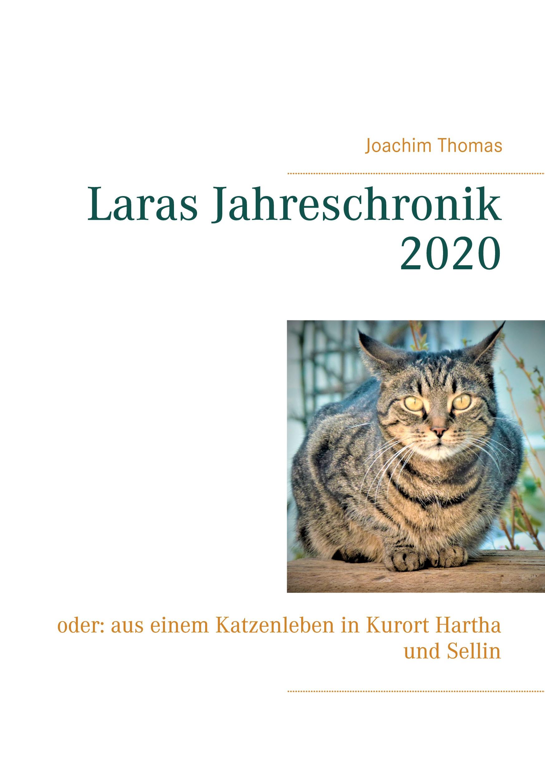 Vorderes Coverbild Laras Jahreschronik 2020